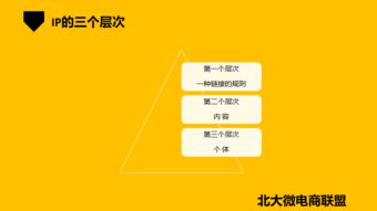北大微電商聯(lián)盟 移動互聯(lián)網(wǎng)時(shí)代的企業(yè)IP與品牌營銷新路徑